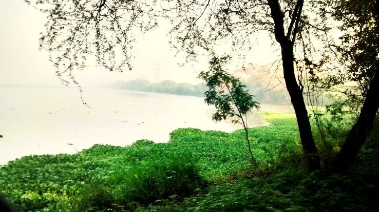 4. Okhla Bird Sanctuary